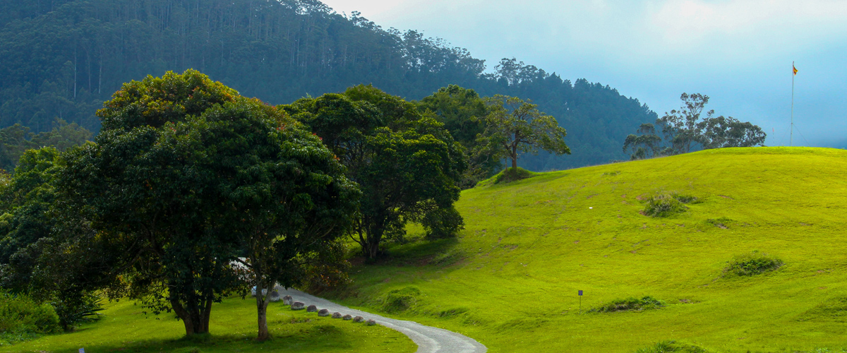  සොබාදහමේ සුවය